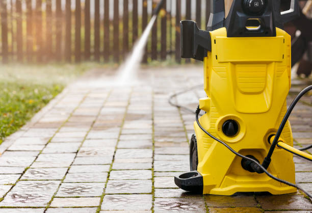 Animal Enclosure Cleaning in Winslow, AZ